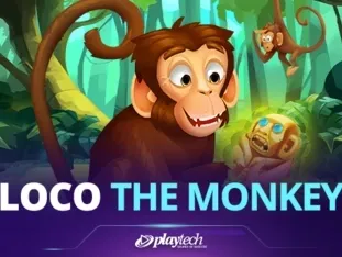 Loco The Monkey icon